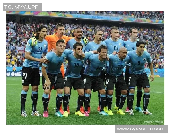 赖扬足球俱乐部核心球员风采揭秘 球场上闪耀的明星力量